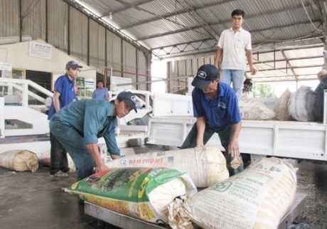 Cao su Phước Hòa: Tiếp tục là điển hình trong thu mua mủ tiểu điền